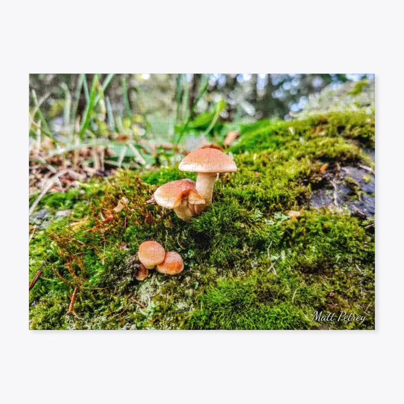 Mushroom puzzle